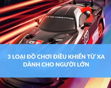 3 LOẠI ĐỒ CHƠI ĐIỀU KHIỂN TỪ XA DÀNH CHO NGƯỜI LỚN