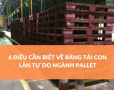 6 Điều Cần Biết Về Băng Tải Con Lăn Tự Do Ngành Pallet